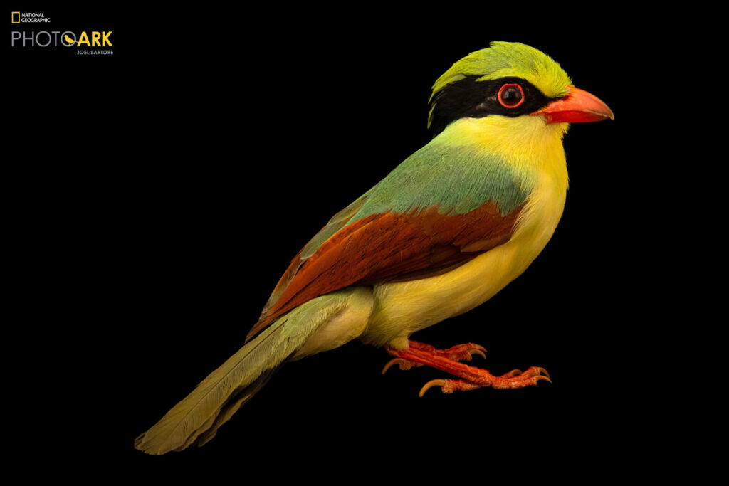 Museo National Geographic. Créditos: Joel Sartore