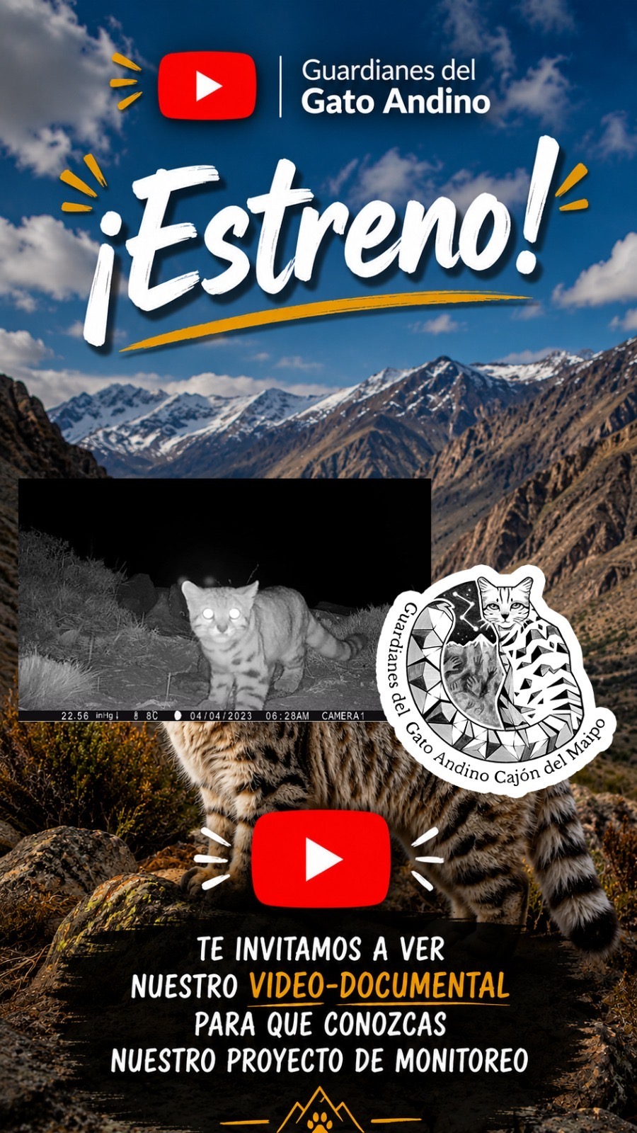 “Guardianes del gato andino”: Video documental revela la lucha contra el tiempo para salvar un ecosistema único en el Cajón del Maipo