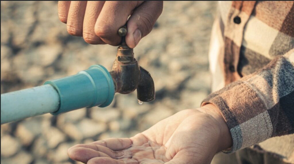 El costo hídrico de nuestros hábitos de consumo. Créditos: WWF México