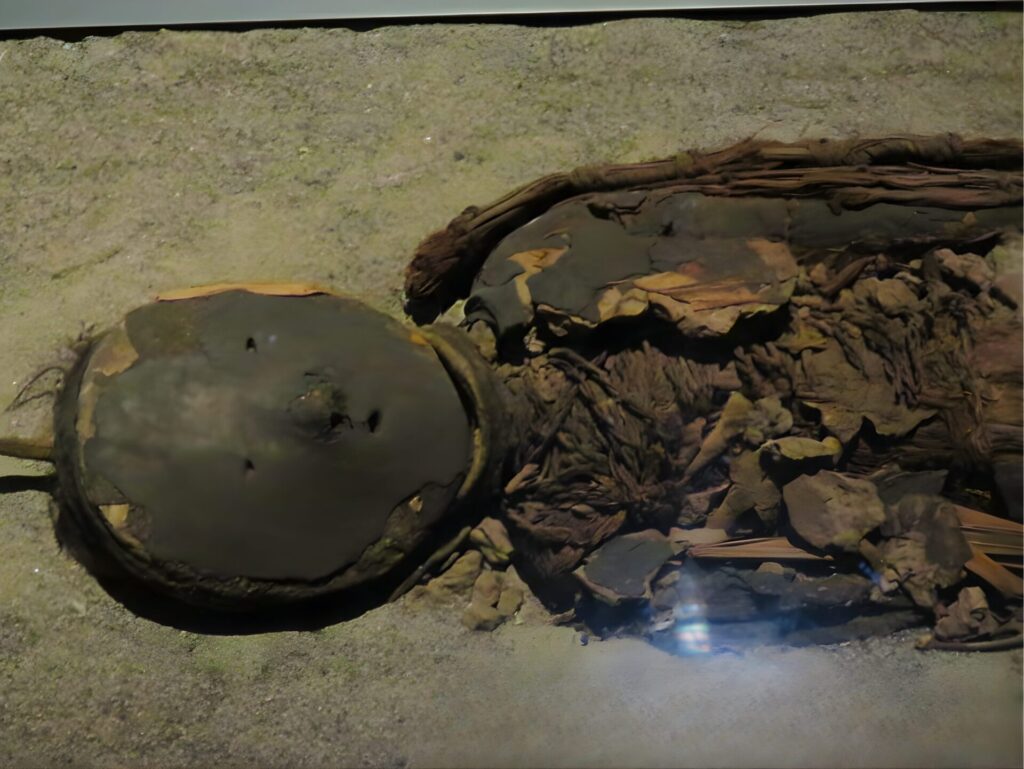 Momias Chinchorro. Créditos: Expediente de nominación a UNESCO Chinchorro, preparado por el Estado de Chile mediante la Universidad de Tarapacá