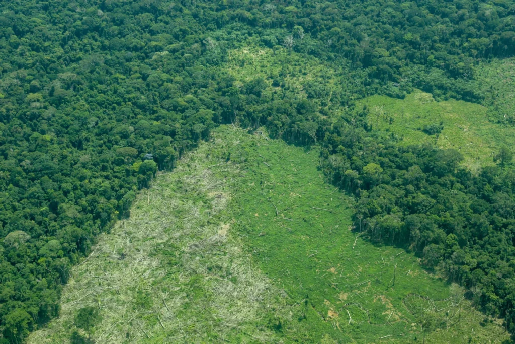 Deforestación en la Reserva Natural Nukak. Entre 2015 y 2024, la región amazónica de Colombia perdió casi 800.000 hectáreas de bosque nativo. Créditos (CC-BY): Juan Ortiz)