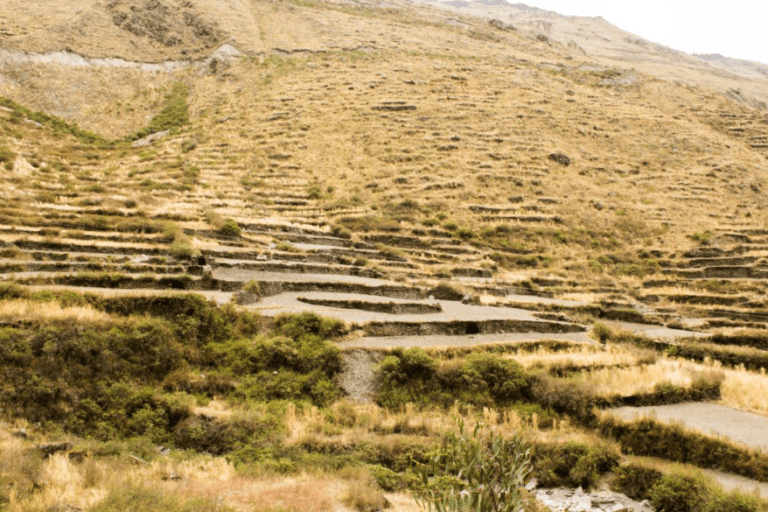 Andenes de Cuyocuyo. Créditos: cortesía WCS