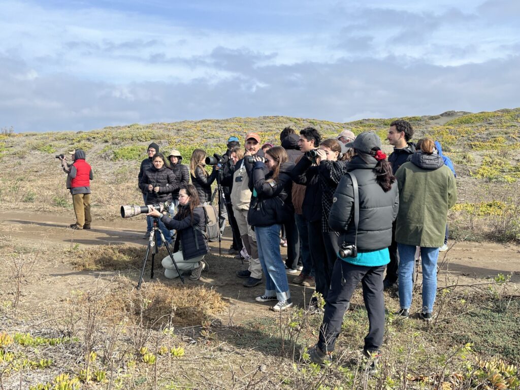 Festival Alado de Las Salinas de Huentelauquén celebrará las aves y la biodiversidad con actividades gratuitas para toda la comunidad.