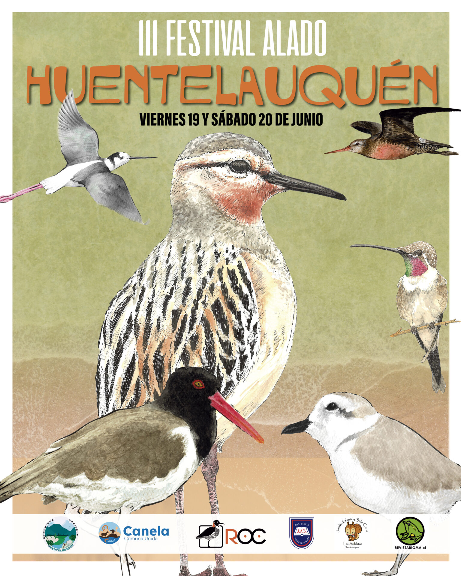 Festival Alado de Las Salinas de Huentelauquén celebrará las aves y la biodiversidad con actividades gratuitas para toda la comunidad