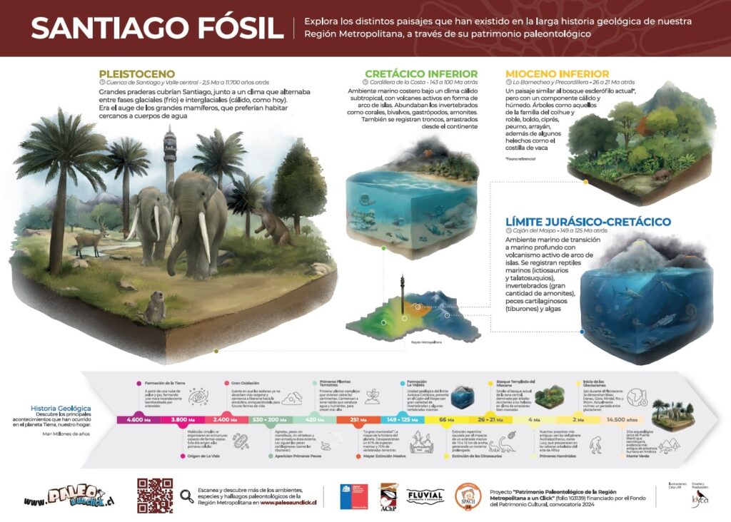 Afiche Paleoambientes. Créditos: Equipo de Paleo a un Click