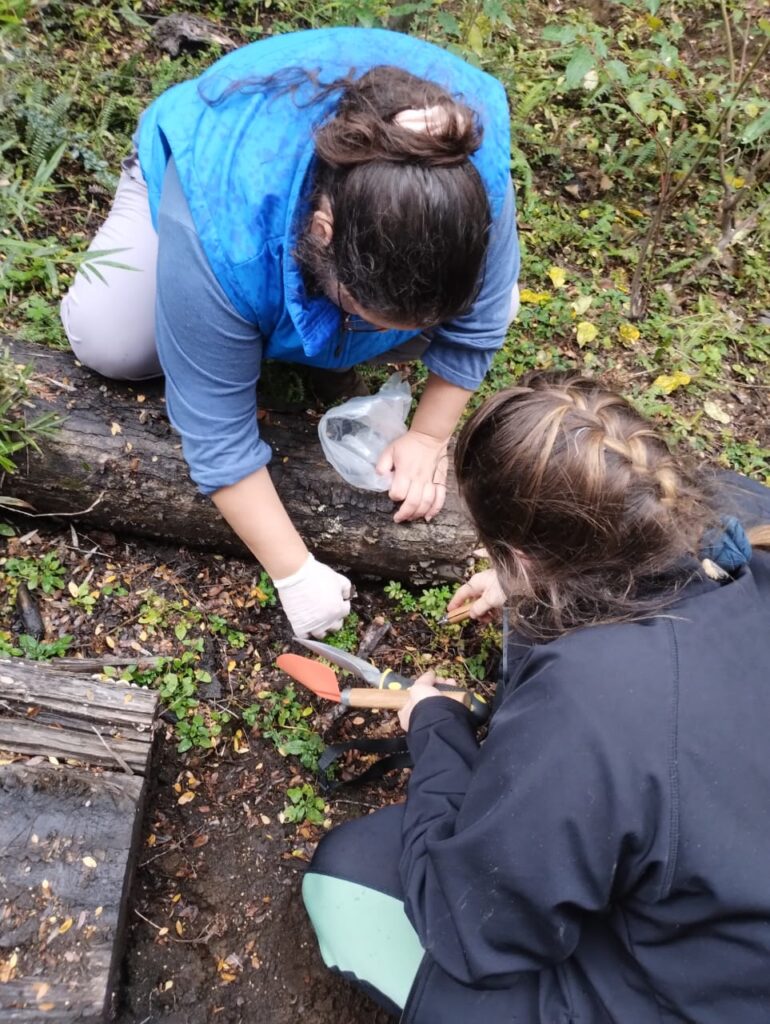 Equipo de científicos estudiando la expansión de Amanita muscaria en los parques nacionales de Argentina. Créditos (CC-BY): Cortesía de Eugenia Salgado Salomón.