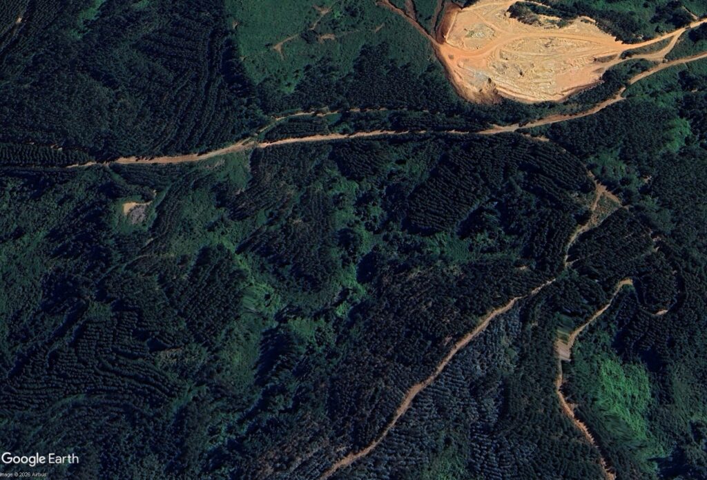 Bosque de Penco, BioBío. Créditos: Google Earth