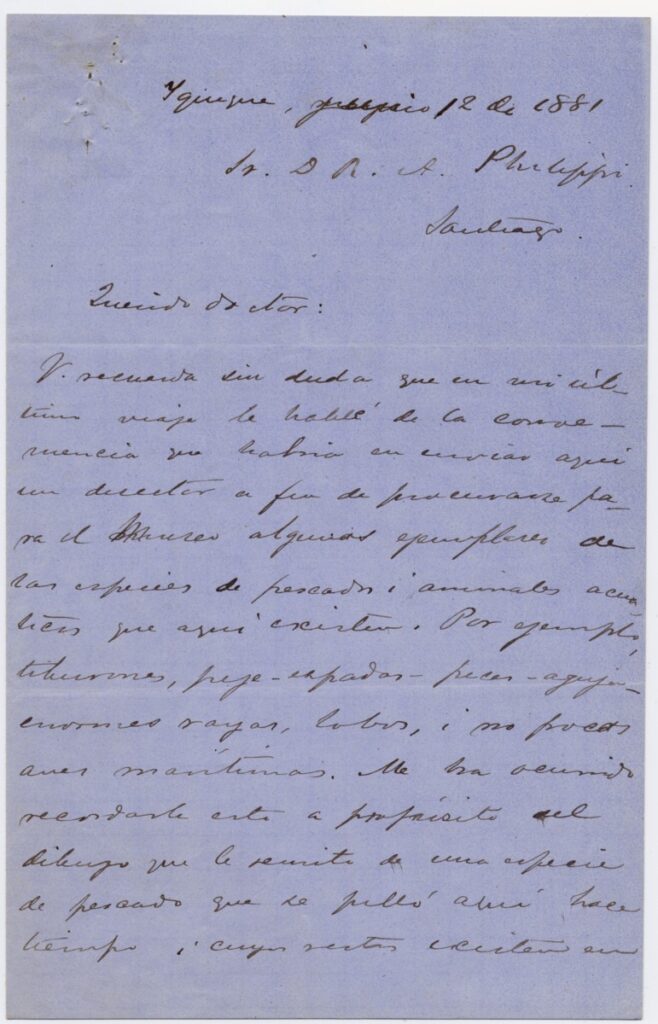 Créditos: Cortesía Archivo Histórico y Patrimonial de la Dirección Museológica de la Universidad Austral de Chile