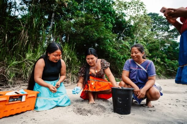 Las Tari Nomiowa’i en la colecta de huevos de tortuga charapa, toma de datos y medición del nido. Créditos: cortesía CI Ecuador