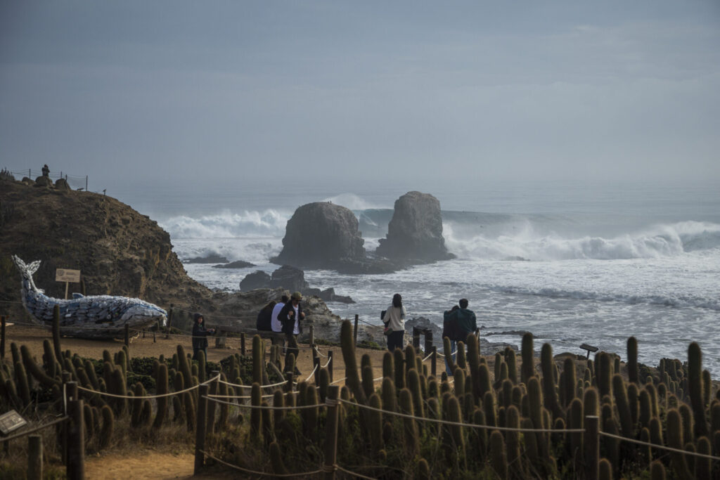 "Día entorno al mar". Créditos: Oscar Fredes