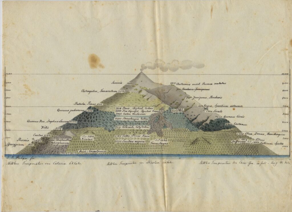 Créditos: Cortesía Archivo Histórico y Patrimonial de la Dirección Museológica de la Universidad Austral de Chile