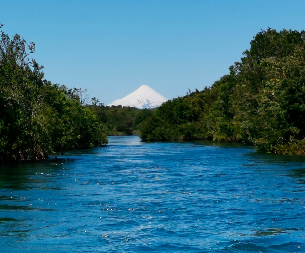 Río Maullín, fuente de biodiversidad y belleza. Créditos: Inao Vásquez.