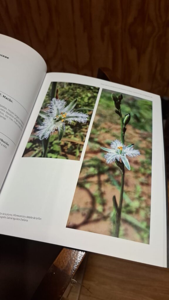 Flora Nativa y Endémica del Desierto Costero.