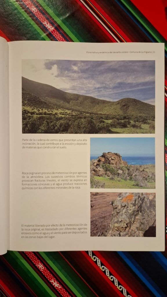Flora Nativa y Endémica del Desierto Costero.