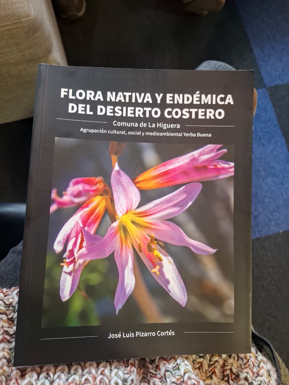 Flora Nativa y Endémica del Desierto Costero.