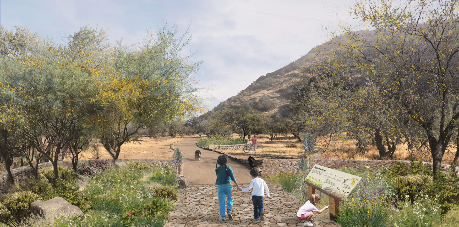 Parques naturales urbanos y parques naturales urbanos Cerro Isla: Nuevas tipologías para el diseño de áreas de naturaleza urbana