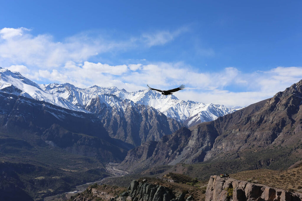 Área Protegida de Múltiples Usos en el valle de los ríos Colorado y Olivares y Parque Nacional Glaciares de Santiago, en el Cajón del Maipo. Créditos (CC-BY): Francisco Lopetegui.