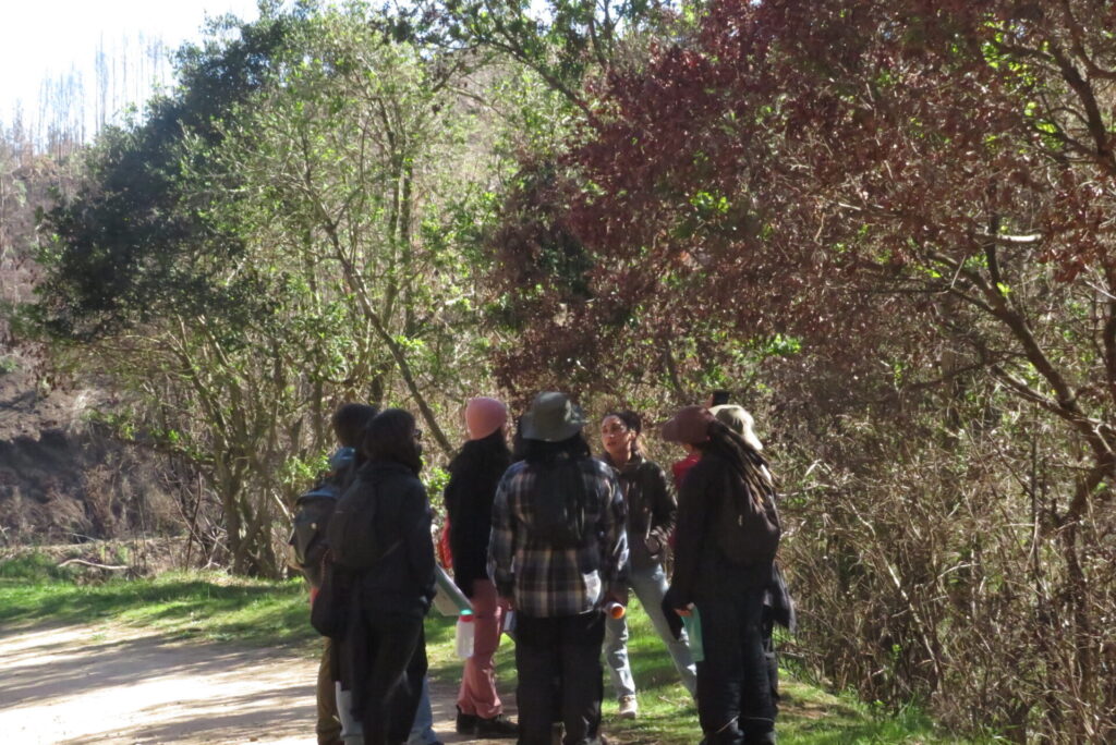 Créditos: Parque para Penco