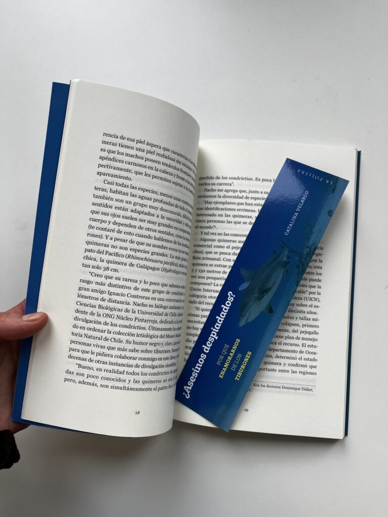 Libro "¿Asesinos despiadados? Por qué enamorarnos de los tiburones" de Catalina Velasco.