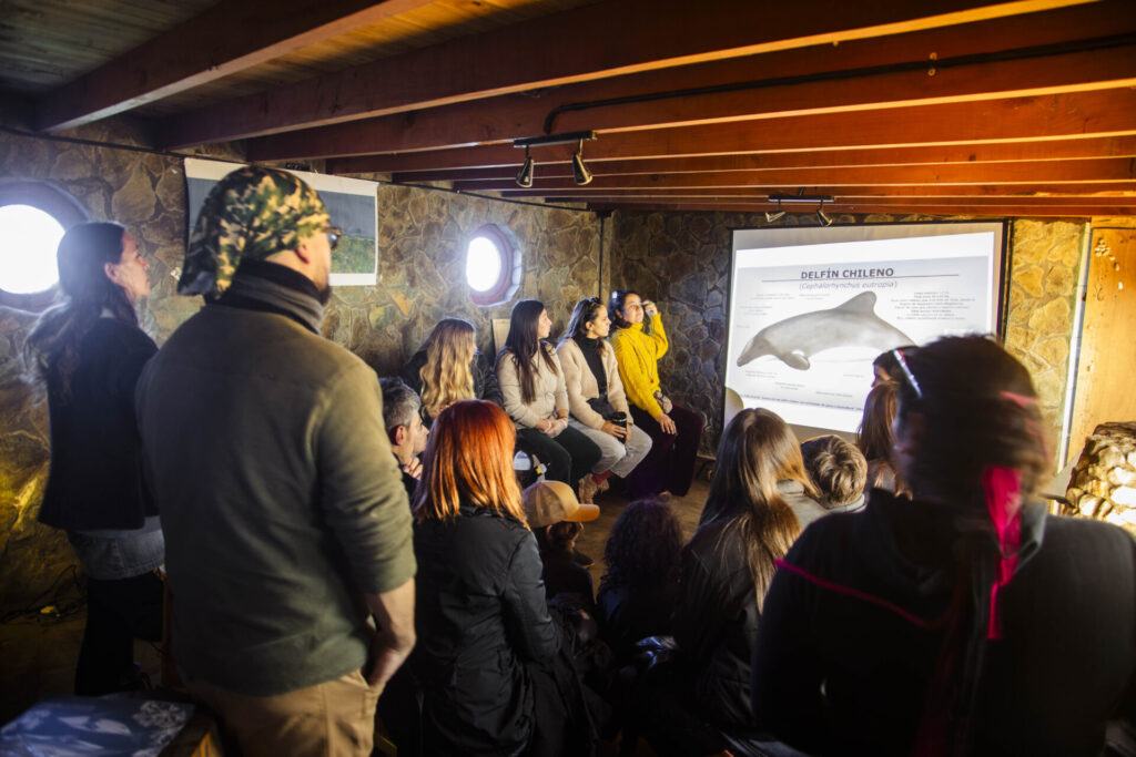 The Nature Conservancy Chile, en alianza con la Fundación Punta de Lobos, invita al “Día en torno al mar”, un espacio diseñado para celebrar y reflexionar sobre el vínculo con el océano.