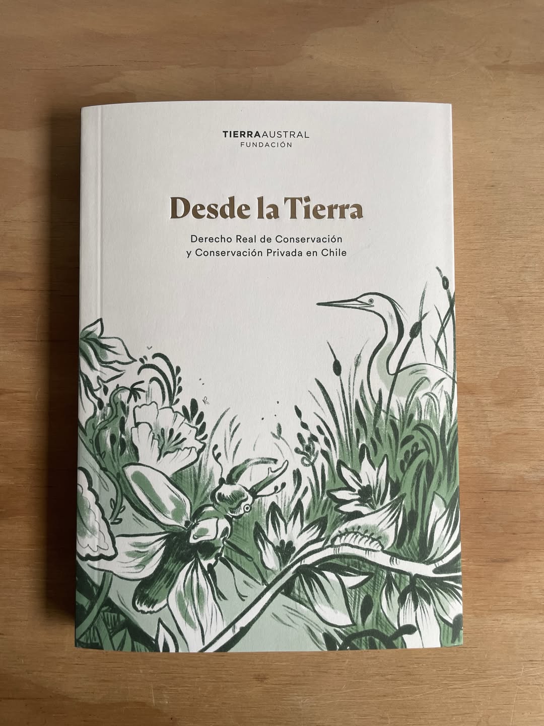 Portada del libro "Desde la Tierra". Créditos: Fundación Tierra Austral