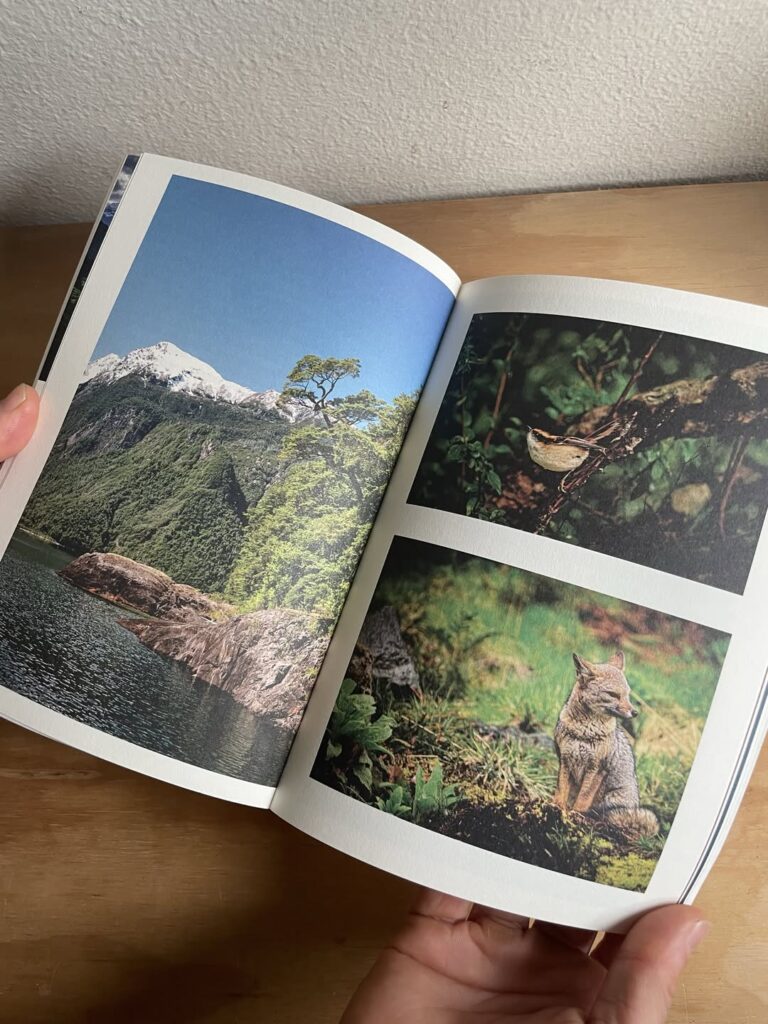 Libro "Desde la Tierra". Créditos: Fundación Tierra Austral