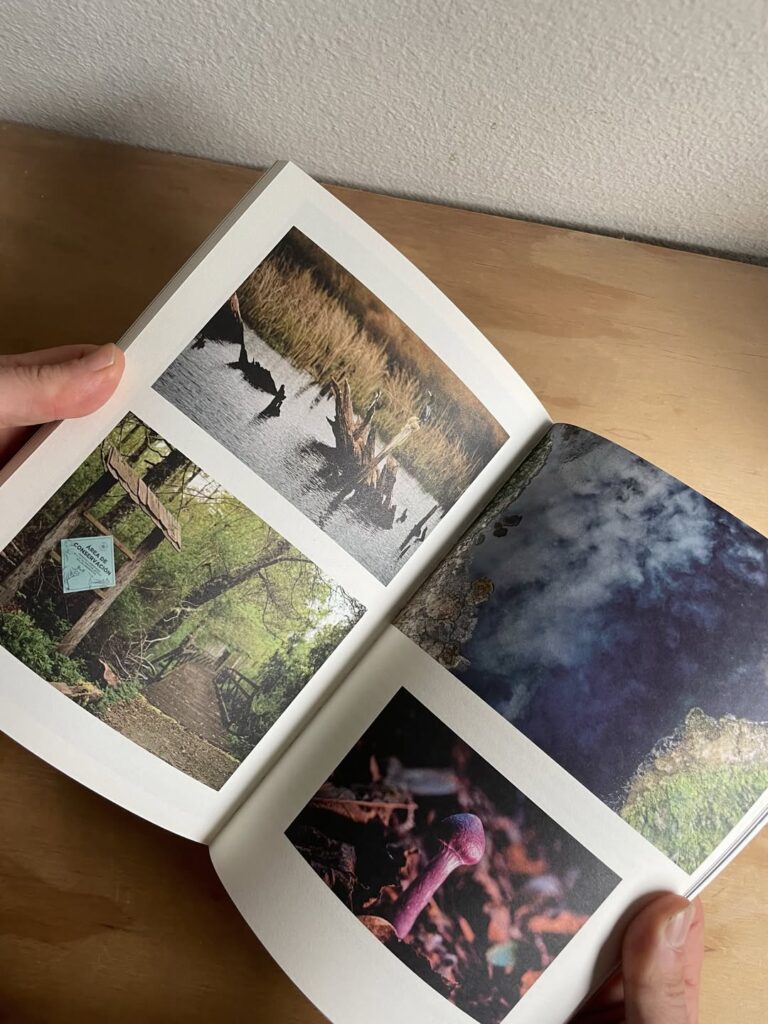 Libro "Desde la Tierra". Créditos: Fundación Tierra Austral