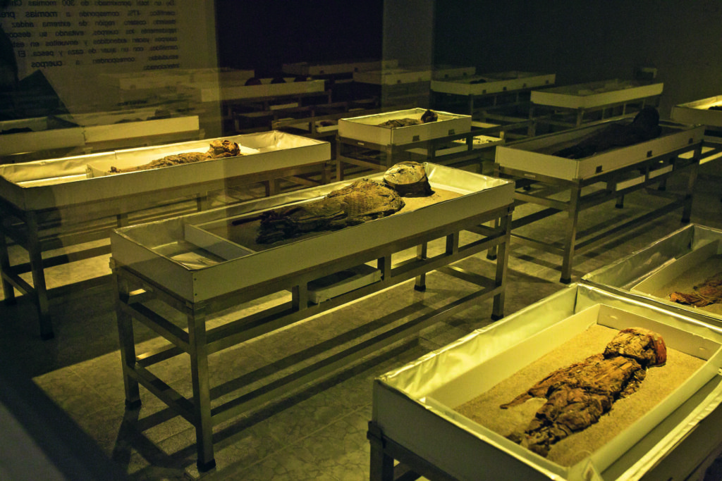 Momias Chinchorro. Créditos: Expediente de nominación a UNESCO Chinchorro, preparado por el Estado de Chile mediante la Universidad de Tarapacá.