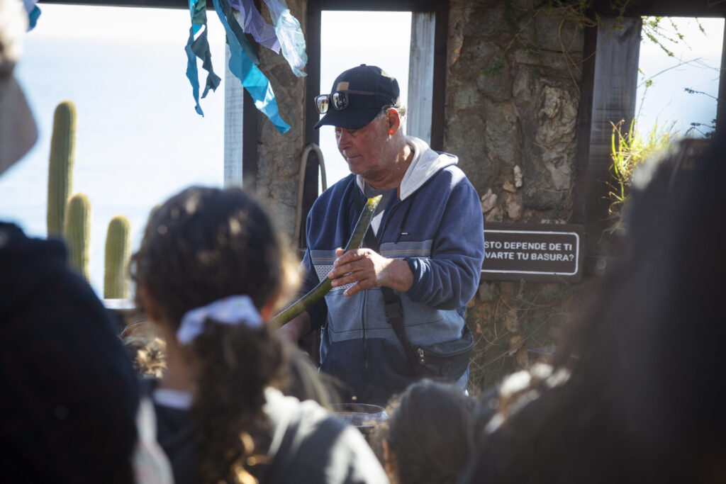 The Nature Conservancy Chile, en alianza con la Fundación Punta de Lobos, invita al “Día en torno al mar”, un espacio diseñado para celebrar y reflexionar sobre el vínculo con el océano.