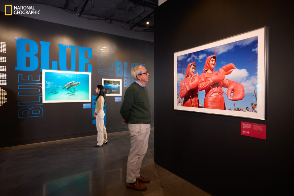 Museo National Geographic. Créditos: Rebecca Hale