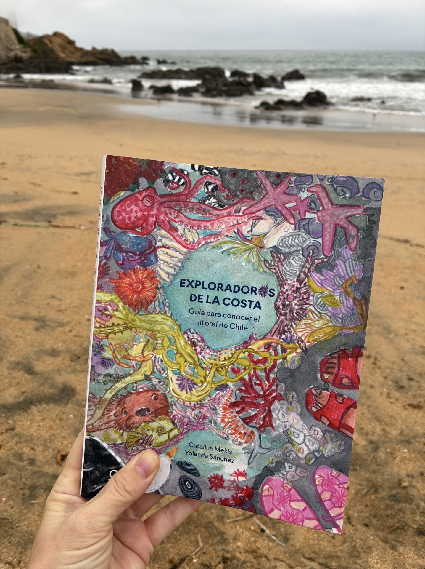 «Exploradores de la costa» lleva el mar a las manos de niñas, niños y adultos curiosos
