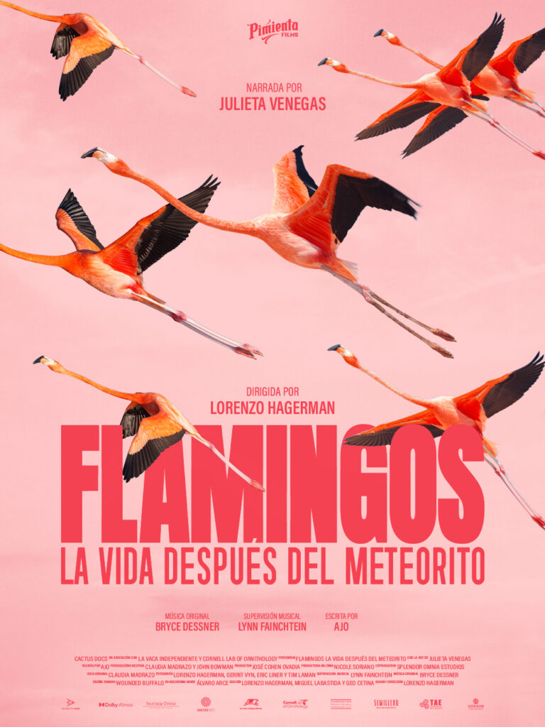 Poster Flamingos Pimienta Films