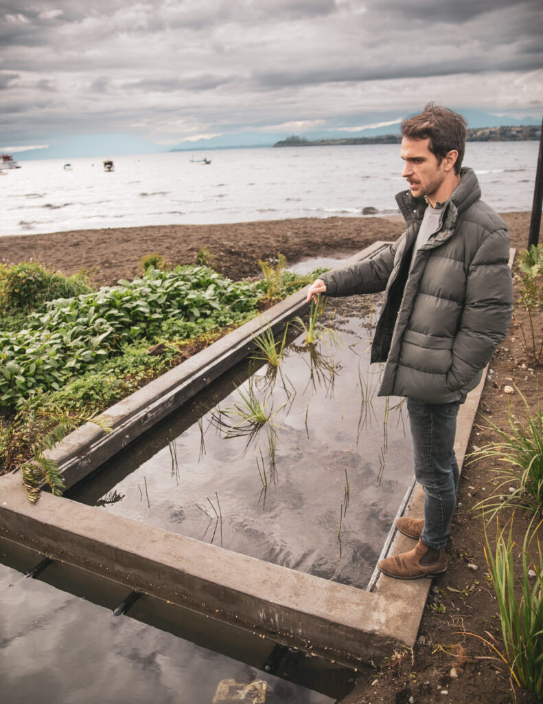 Puerto Varas implementa innovador humedal artificial para ayudar a descontaminar el Lago Llanquihue. Créditos (CC-BY): Municipalidad de Puerto Varas.