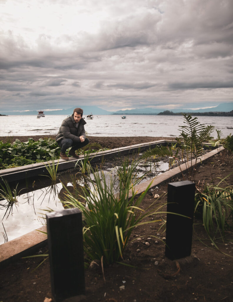 Puerto Varas implementa innovador humedal artificial para ayudar a descontaminar el Lago Llanquihue. Créditos (CC-BY): Municipalidad de Puerto Varas.