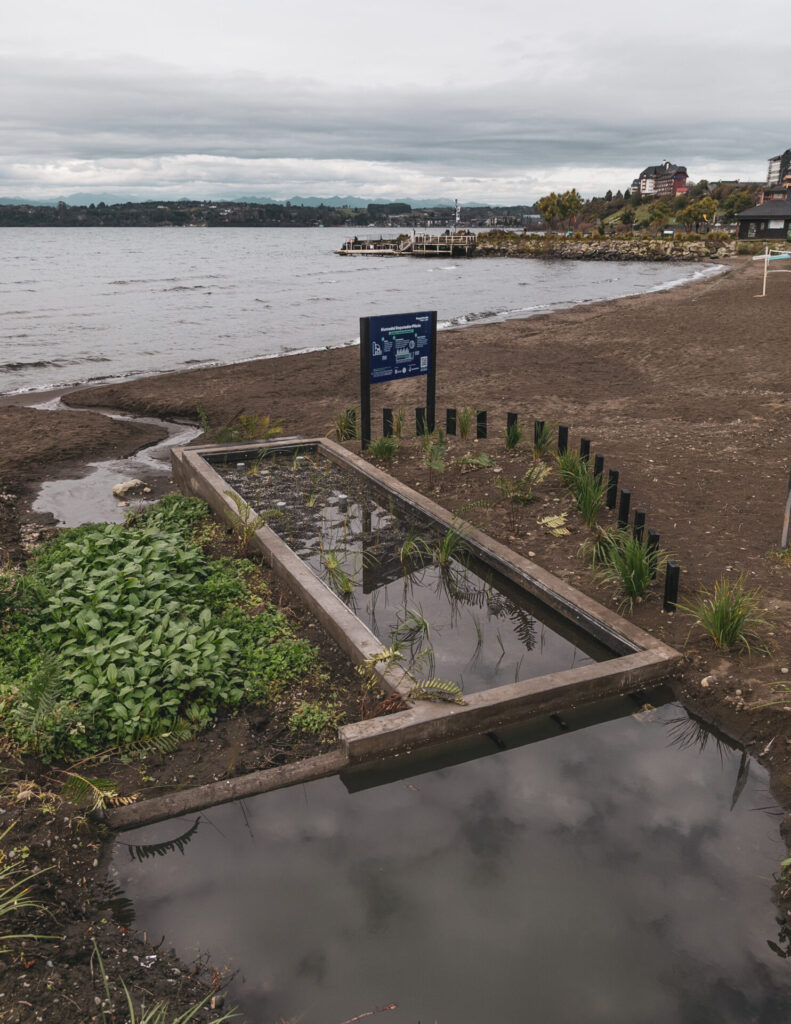 Puerto Varas implementa innovador humedal artificial para ayudar a descontaminar el Lago Llanquihue. Créditos (CC-BY): Municipalidad de Puerto Varas.