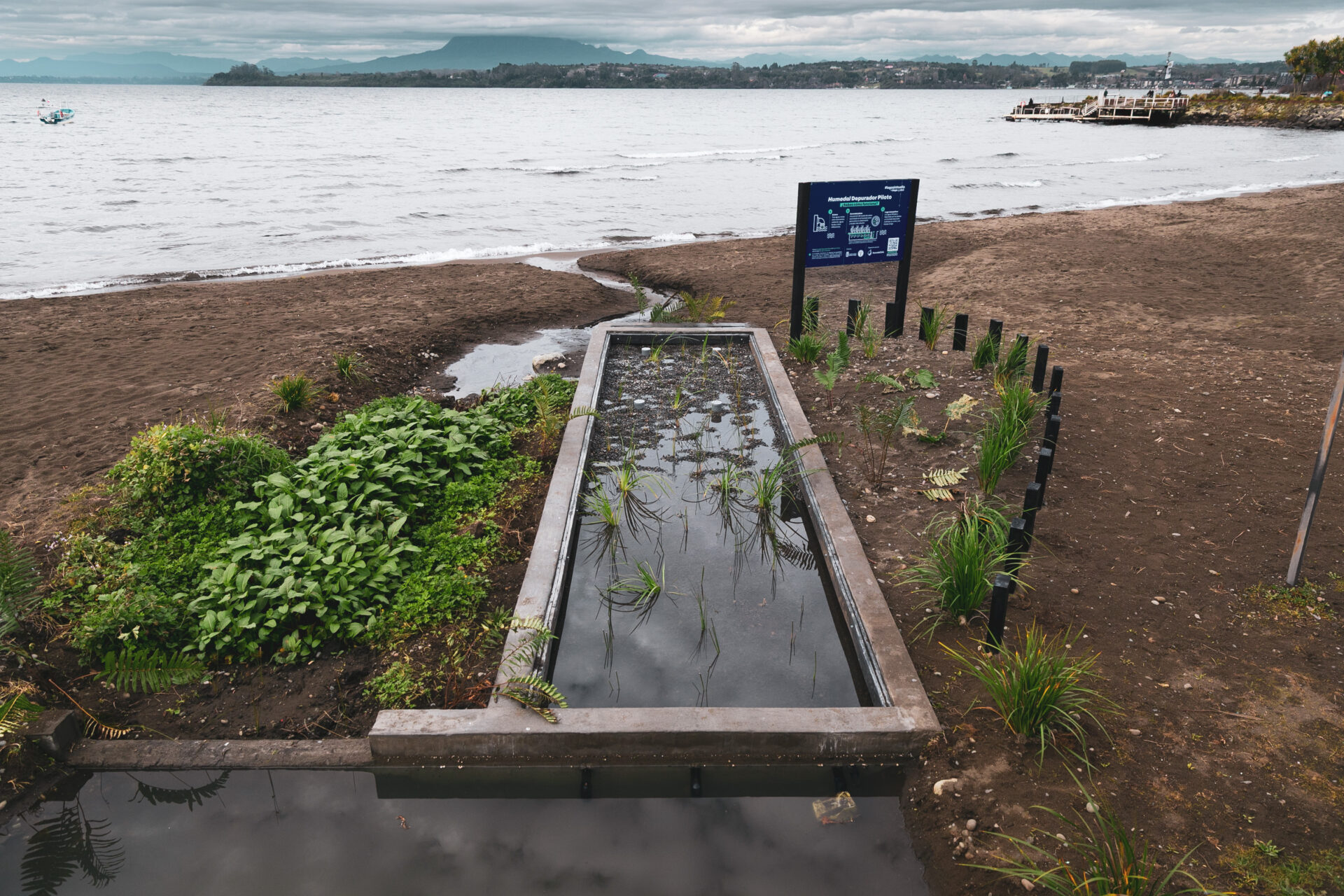 Puerto Varas implementa innovador humedal artificial para ayudar a descontaminar el Lago Llanquihue