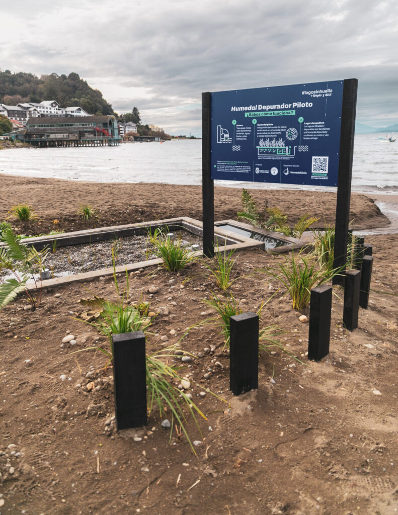 Puerto Varas implementa innovador humedal artificial para ayudar a descontaminar el Lago Llanquihue. Créditos (CC-BY): Municipalidad de Puerto Varas.