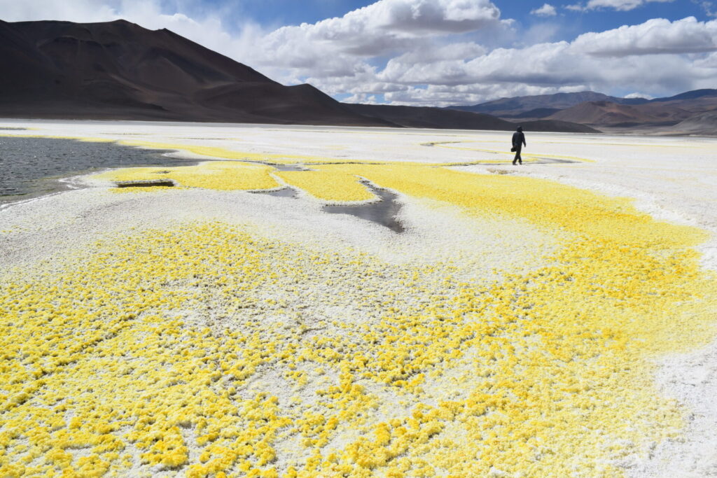 Salar de Gorbea. Foto: ©Andrés Marcoleta.