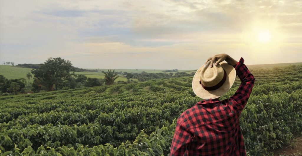 
La seguridad hídrica del país sigue estrechamente ligada a la manera en que producimos y consumimos alimentos. Créditos: WWF México