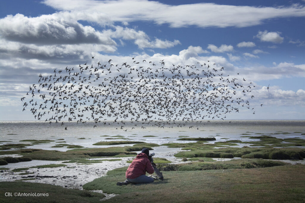 Sitio Ramsar Bahía Lomas. Créditos: Antonio Larrea