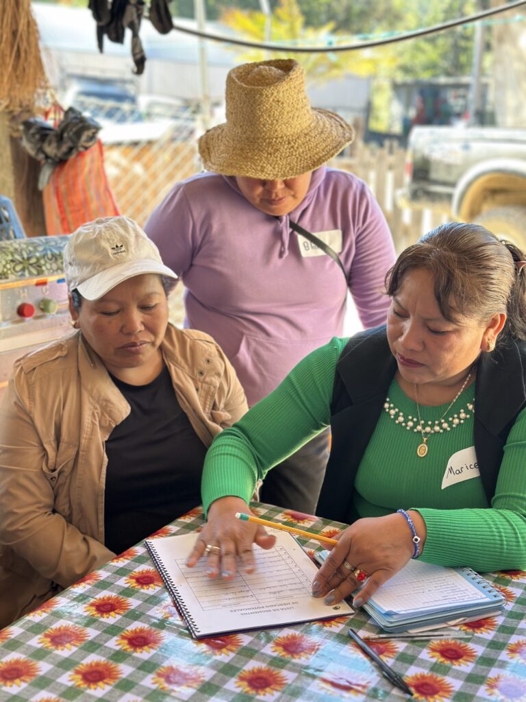 Comunidades de la Reserva de Biosfera Mariposa Monarca se fortalecen con UNESCO y Dior para impulsar comercialización artesanal y proteger la biodiversidad en México (Sello Colectivo Mariposa Monarca). Créditos (CC-BY): UNESCO.
