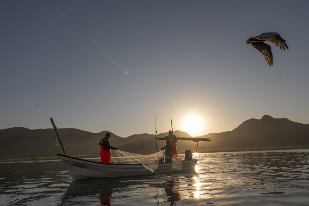 En Topolobampo, Sinaloa, se construye una planta de amoníaco de la empresa Gas y Petroquímica de Occidente (GPO). La obra se ubica en la Bahía de Ohuira, un humedal protegido por la Convención Ramsar. Créditos: Armando Vega