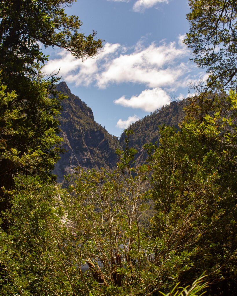 Parque Nacional Alerce Andino. Créditos (CC-BY): Adolfo Molina.