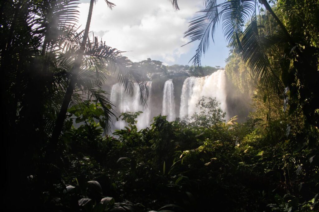 La región de Los Tuxtlas, ubicada en el sureste del estado de Veracruz, México, es una reserva de la biosfera famosa por su selva tropical, volcanes y lagunas. Créditos: Amy Farías