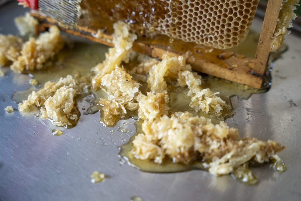 La cera es un subproducto del proceso que puede utilizarse para elaborar velas, envoltorios ecológicos, también se usa como impermeabilizante y en cosmética. Créditos: Nina Cordero.