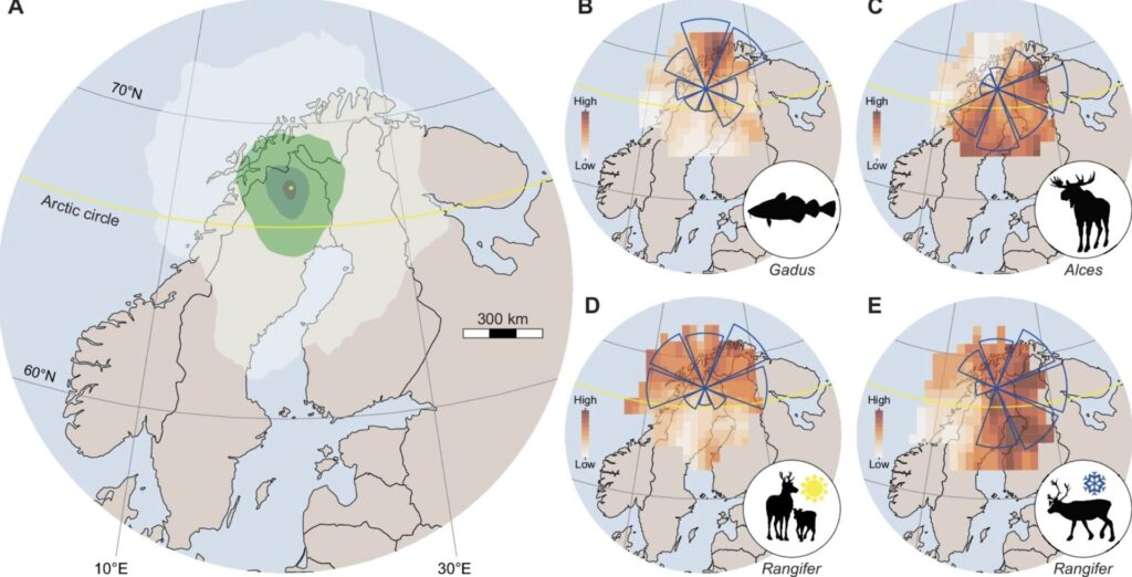 Los modelos muestran de dónde podrían venir las trazas de ADN ambiental (eDNA) detectadas en el aire. Los colores más oscuros indican un origen más probable y las rosas de los vientos muestran la dirección desde la que llegaron. Ilustraciones: Thomas Ågren. Mapas: Natural Earth.