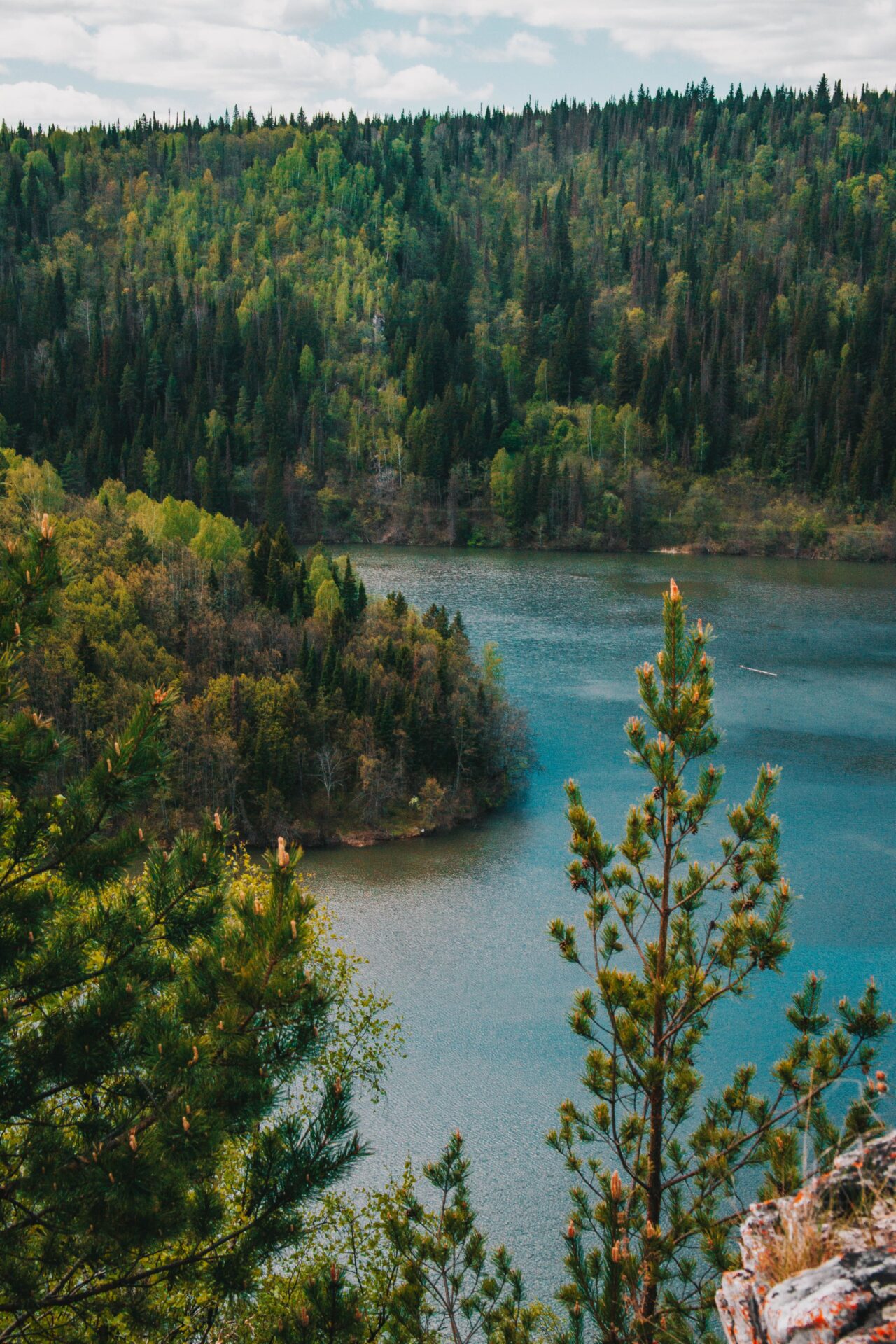 El aire guarda la memoria de los bosques: así reconstruyeron 34 años de biodiversidad con ADN
