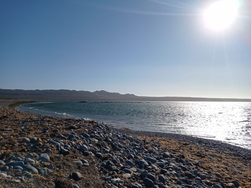 Bahía Chascos, Región de Atacama, Chile. Créditos: Nicolás Flores