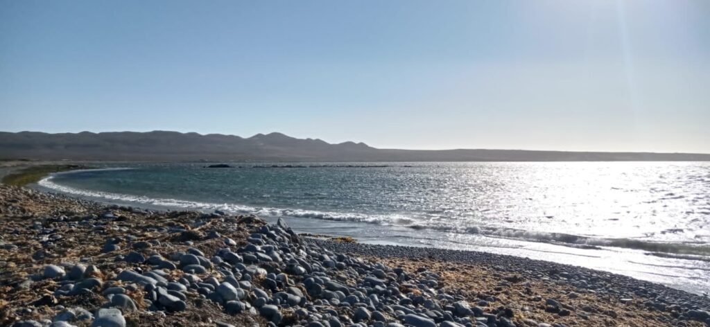 Bahía Chascos, Región de Atacama, Chile. Créditos: Nicolás Flores