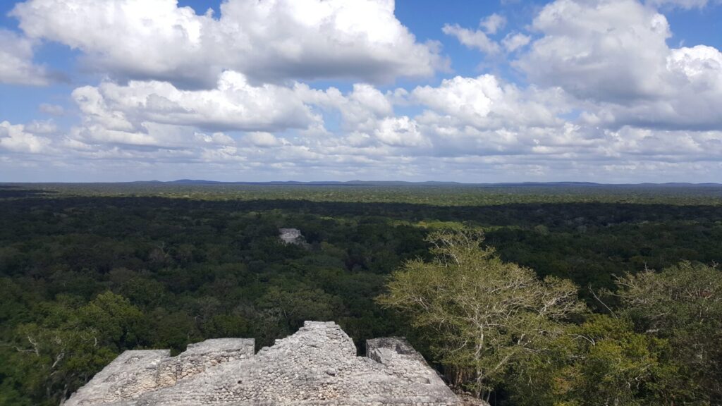 Minanbé, antigua ciudad maya, intacta y oculta en la selva de Calakmul tras más de mil años. Créditos (CC-BY): Bernard Dupont.